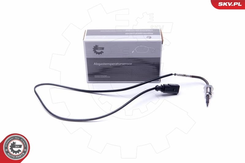 Sensor, exhaust gas temperature